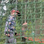 phoca_thumb_m_2. den vp 38 Fotogalerie